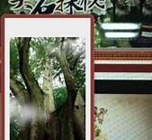 行程圖片
