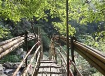 行程圖片