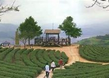 行程圖片