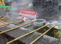 行程圖片