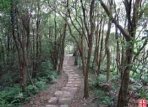 行程圖片