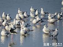 行程圖片