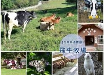 行程圖片