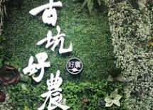 行程圖片