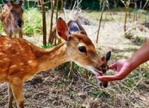 行程圖片