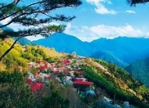 (上帝的部落) 司馬庫斯 神木之旅