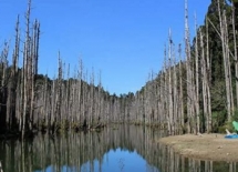 行程圖片